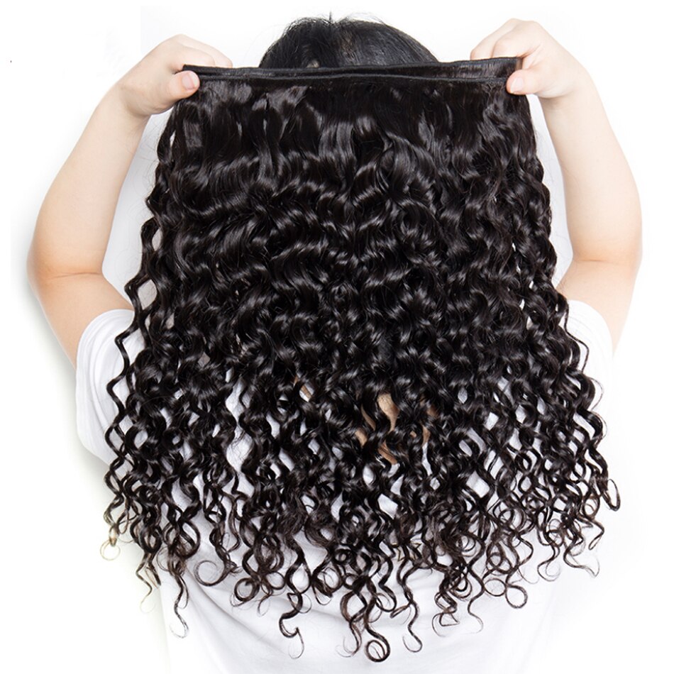 Malaysian Water Wave Bundles with Closure Wet and Wavy Curly Human Hair Bundles with Closure 4x4 Lace Remy Hair Extensions